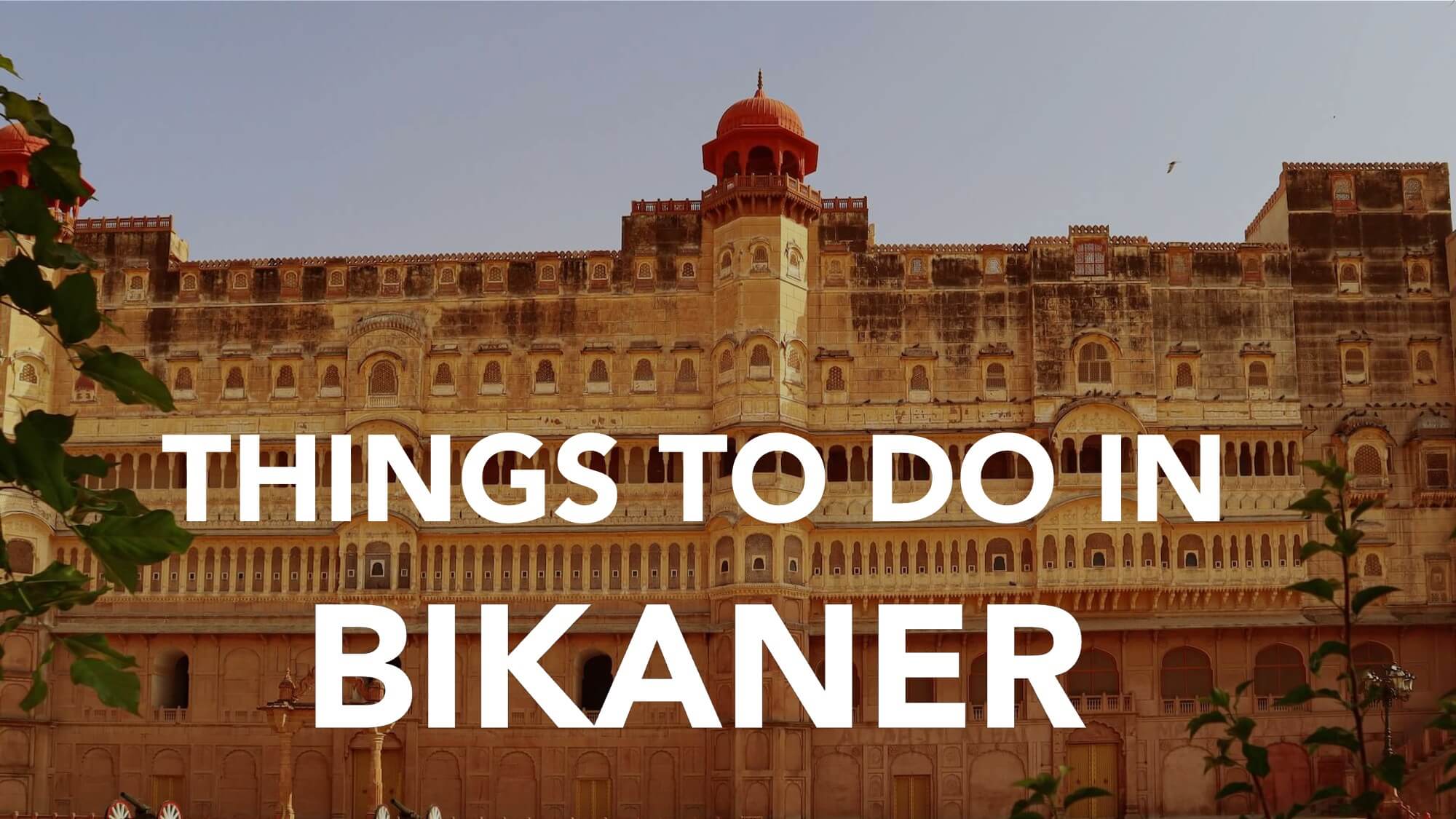 5 Amazing Things To Do In Bikaner: Cultural Paradise